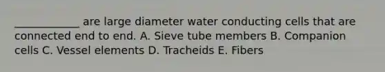 ____________ are large diameter water conducting cells that are connected end to end. A. Sieve tube members B. Companion cells C. Vessel elements D. Tracheids E. Fibers