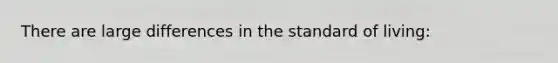 There are large differences in the standard of living: