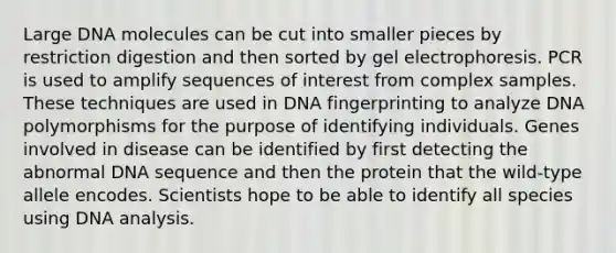 Large DNA molecules can be cut into smaller pieces by restriction digestion and then sorted by gel electrophoresis. PCR is used to amplify sequences of interest from complex samples. These techniques are used in <a href='https://www.questionai.com/knowledge/kAxD8GcgQM-dna-fingerprinting' class='anchor-knowledge'>dna fingerprinting</a> to analyze DNA polymorphisms for the purpose of identifying individuals. Genes involved in disease can be identified by first detecting the abnormal DNA sequence and then the protein that the wild-type allele encodes. Scientists hope to be able to identify all species using DNA analysis.