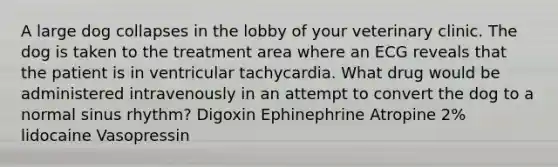 A large dog collapses in the lobby of your veterinary clinic. The dog is taken to the treatment area where an ECG reveals that the patient is in ventricular tachycardia. What drug would be administered intravenously in an attempt to convert the dog to a normal sinus rhythm? Digoxin Ephinephrine Atropine 2% lidocaine Vasopressin