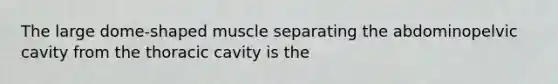 The large dome-shaped muscle separating the abdominopelvic cavity from the thoracic cavity is the