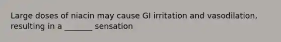 Large doses of niacin may cause GI irritation and vasodilation, resulting in a _______ sensation