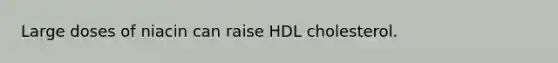 Large doses of niacin can raise HDL cholesterol.