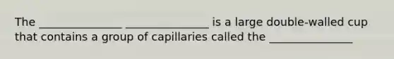 The _______________ _______________ is a large double-walled cup that contains a group of capillaries called the _______________