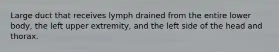 Large duct that receives lymph drained from the entire lower body, the left upper extremity, and the left side of the head and thorax.