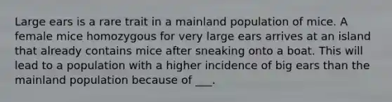 Large ears is a rare trait in a mainland population of mice. A female mice homozygous for very large ears arrives at an island that already contains mice after sneaking onto a boat. This will lead to a population with a higher incidence of big ears than the mainland population because of ___.