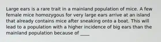 Large ears is a rare trait in a mainland population of mice. A few female mice homozygous for very large ears arrive at an island that already contains mice after sneaking onto a boat. This will lead to a population with a higher incidence of big ears than the mainland population because of ____