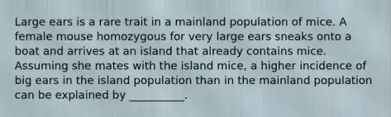 Large ears is a rare trait in a mainland population of mice. A female mouse homozygous for very large ears sneaks onto a boat and arrives at an island that already contains mice. Assuming she mates with the island mice, a higher incidence of big ears in the island population than in the mainland population can be explained by __________.