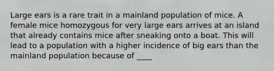 Large ears is a rare trait in a mainland population of mice. A female mice homozygous for very large ears arrives at an island that already contains mice after sneaking onto a boat. This will lead to a population with a higher incidence of big ears than the mainland population because of ____