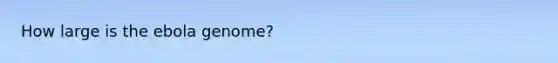 How large is the ebola genome?
