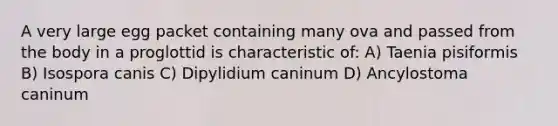 A very large egg packet containing many ova and passed from the body in a proglottid is characteristic of: A) Taenia pisiformis B) Isospora canis C) Dipylidium caninum D) Ancylostoma caninum