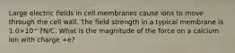 Large electric fields in cell membranes cause ions to move through the cell wall. The field strength in a typical membrane is 1.0×10^7N/C. What is the magnitude of the force on a calcium ion with charge +e?