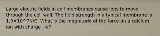 Large electric fields in cell membranes cause ions to move through the cell wall. The field strength in a typical membrane is 1.0×10^7N/C. What is the magnitude of the force on a calcium ion with charge +e?