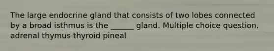 The large endocrine gland that consists of two lobes connected by a broad isthmus is the ______ gland. Multiple choice question. adrenal thymus thyroid pineal