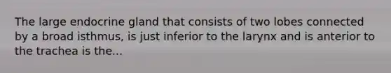 The large endocrine gland that consists of two lobes connected by a broad isthmus, is just inferior to the larynx and is anterior to the trachea is the...