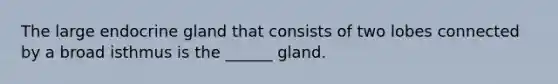 The large endocrine gland that consists of two lobes connected by a broad isthmus is the ______ gland.