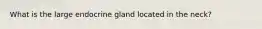 What is the large endocrine gland located in the neck?