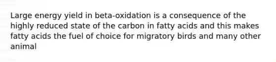 Large energy yield in beta-oxidation is a consequence of the highly reduced state of the carbon in fatty acids and this makes fatty acids the fuel of choice for migratory birds and many other animal