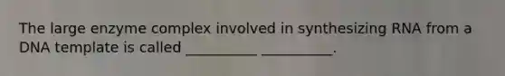 The large enzyme complex involved in synthesizing RNA from a DNA template is called __________ __________.
