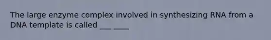 The large enzyme complex involved in synthesizing RNA from a DNA template is called ___ ____