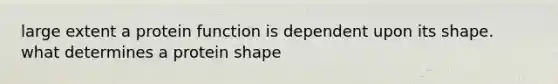 large extent a protein function is dependent upon its shape. what determines a protein shape