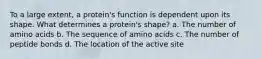 To a large extent, a protein's function is dependent upon its shape. What determines a protein's shape? a. The number of amino acids b. The sequence of amino acids c. The number of peptide bonds d. The location of the active site