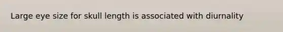 Large eye size for skull length is associated with diurnality