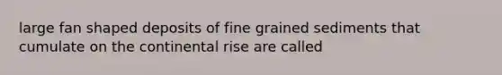 large fan shaped deposits of fine grained sediments that cumulate on the continental rise are called