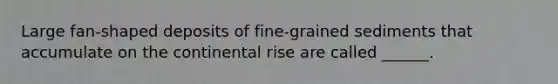 Large fan-shaped deposits of fine-grained sediments that accumulate on the continental rise are called ______.