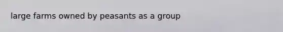 large farms owned by peasants as a group
