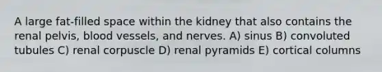 A large fat-filled space within the kidney that also contains the renal pelvis, blood vessels, and nerves. A) sinus B) convoluted tubules C) renal corpuscle D) renal pyramids E) cortical columns