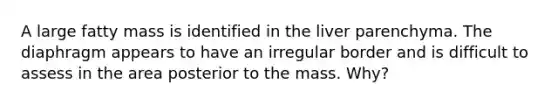 A large fatty mass is identified in the liver parenchyma. The diaphragm appears to have an irregular border and is difficult to assess in the area posterior to the mass. Why?