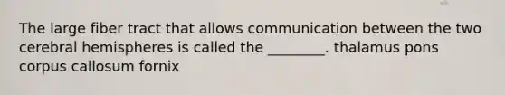 The large fiber tract that allows communication between the two cerebral hemispheres is called the ________. thalamus pons corpus callosum fornix