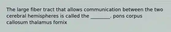 The large fiber tract that allows communication between the two cerebral hemispheres is called the ________. pons corpus callosum thalamus fornix