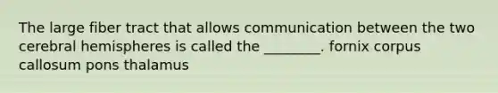 The large fiber tract that allows communication between the two cerebral hemispheres is called the ________. fornix corpus callosum pons thalamus