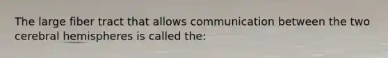The large fiber tract that allows communication between the two <a href='https://www.questionai.com/knowledge/kg5uT2jsmC-cerebral-hemispheres' class='anchor-knowledge'>cerebral hemispheres</a> is called the: