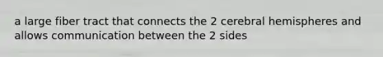 a large fiber tract that connects the 2 cerebral hemispheres and allows communication between the 2 sides