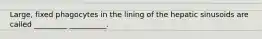 Large, fixed phagocytes in the lining of the hepatic sinusoids are called _________ __________.