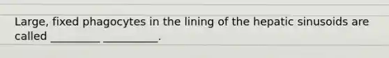 Large, fixed phagocytes in the lining of the hepatic sinusoids are called _________ __________.