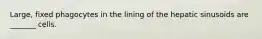 Large, fixed phagocytes in the lining of the hepatic sinusoids are _______ cells.