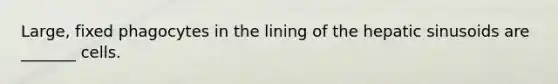 Large, fixed phagocytes in the lining of the hepatic sinusoids are _______ cells.