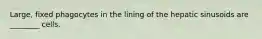 Large, fixed phagocytes in the lining of the hepatic sinusoids are ________ cells.