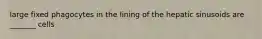 large fixed phagocytes in the lining of the hepatic sinusoids are _______ cells