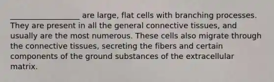 __________________ are large, flat cells with branching processes. They are present in all the general connective tissues, and usually are the most numerous. These cells also migrate through the connective tissues, secreting the fibers and certain components of the ground substances of the extracellular matrix.