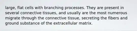 large, flat cells with branching processes. They are present in several <a href='https://www.questionai.com/knowledge/kYDr0DHyc8-connective-tissue' class='anchor-knowledge'>connective tissue</a>s, and usually are the most numerous migrate through the connective tissue, secreting the fibers and ground substance of the extracellular matrix.