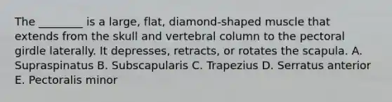 The ________ is a large, flat, diamond-shaped muscle that extends from the skull and vertebral column to the pectoral girdle laterally. It depresses, retracts, or rotates the scapula. A. Supraspinatus B. Subscapularis C. Trapezius D. Serratus anterior E. Pectoralis minor