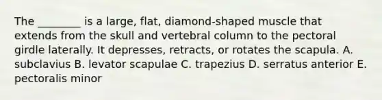 The ________ is a large, flat, diamond-shaped muscle that extends from the skull and <a href='https://www.questionai.com/knowledge/ki4fsP39zf-vertebral-column' class='anchor-knowledge'>vertebral column</a> to the <a href='https://www.questionai.com/knowledge/kLFI0fCi1K-pectoral-girdle' class='anchor-knowledge'>pectoral girdle</a> laterally. It depresses, retracts, or rotates the scapula. A. subclavius B. levator scapulae C. trapezius D. serratus anterior E. pectoralis minor