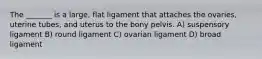 The _______ is a large, flat ligament that attaches the ovaries, uterine tubes, and uterus to the bony pelvis. A) suspensory ligament B) round ligament C) ovarian ligament D) broad ligament