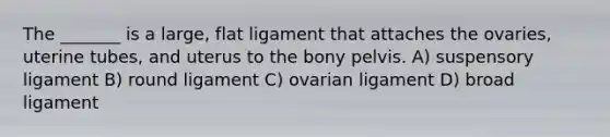 The _______ is a large, flat ligament that attaches the ovaries, uterine tubes, and uterus to the bony pelvis. A) suspensory ligament B) round ligament C) ovarian ligament D) broad ligament