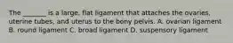 The _______ is a large, flat ligament that attaches the ovaries, uterine tubes, and uterus to the bony pelvis. A. ovarian ligament B. round ligament C. broad ligament D. suspensory ligament